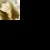 Profile picture of terest